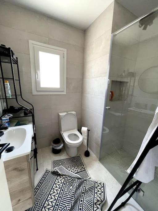 Apartment Luxury Penthouse In Pagrati Athens